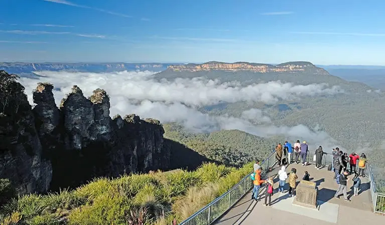Guided Bushwalks Blue Mountains