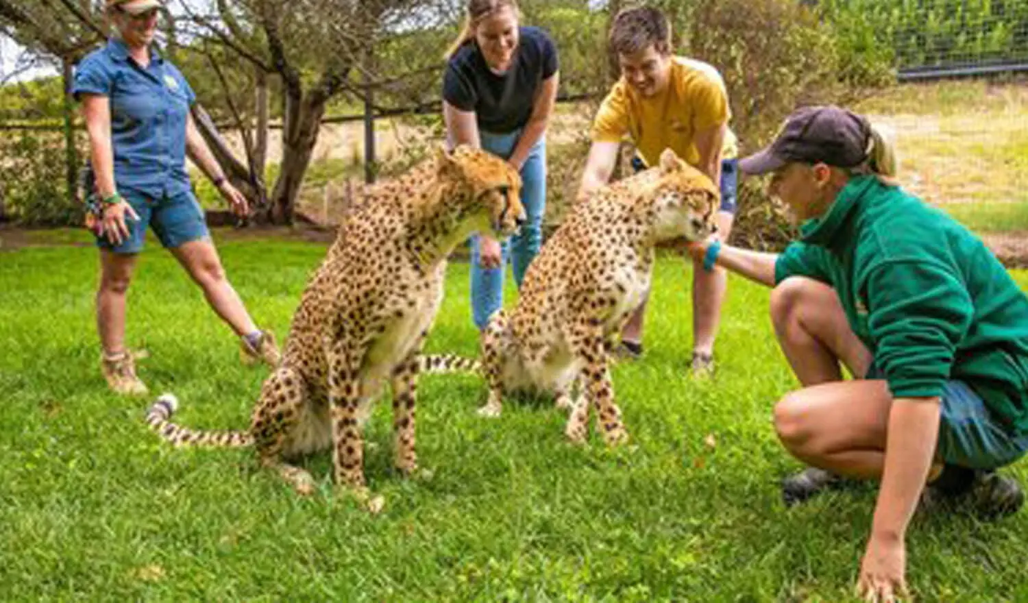 National Zoo and Aquarium Canberra