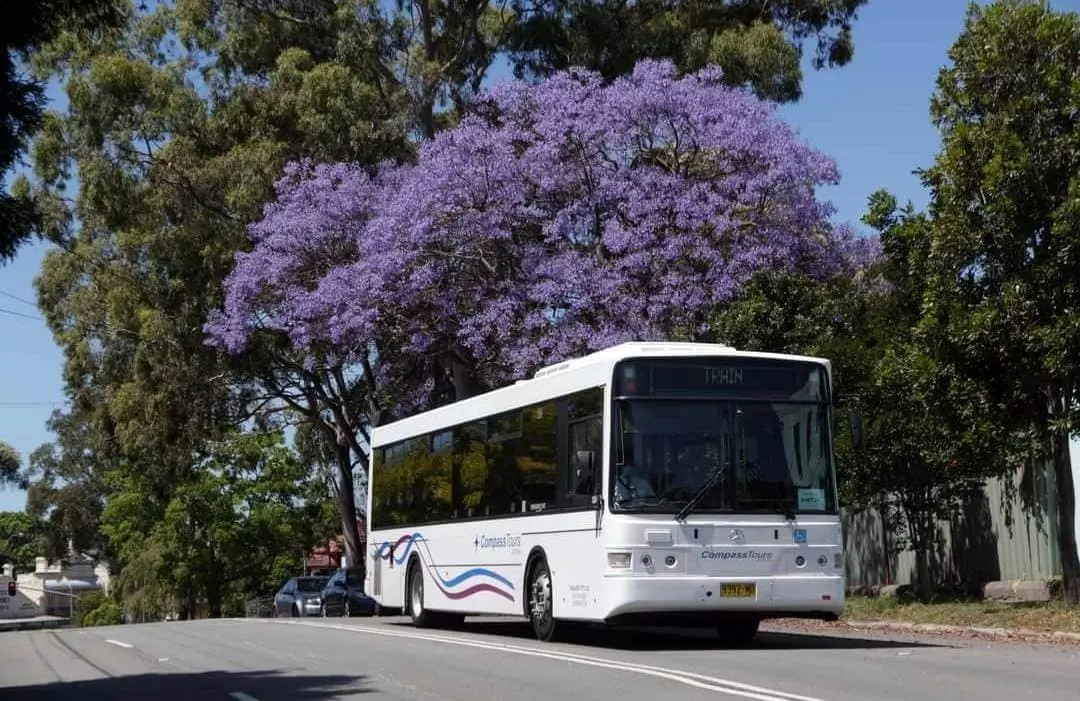 Bus Replacement Service Sydney