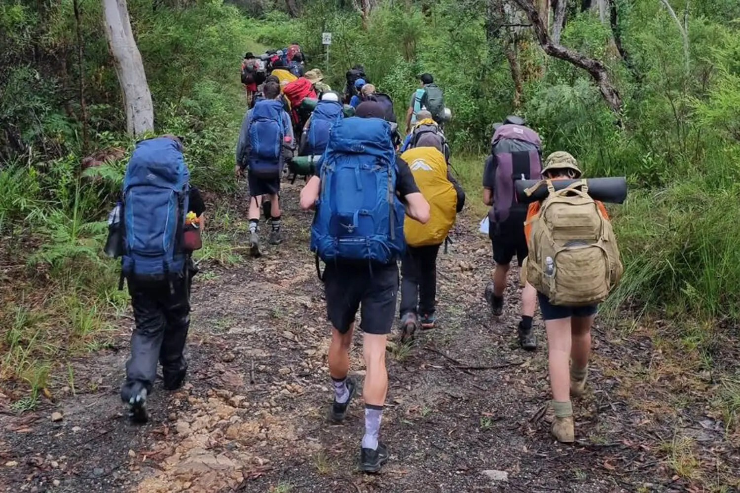 Students on a school excursion